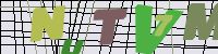 Chuck Norris has counted to infinity. Twice.